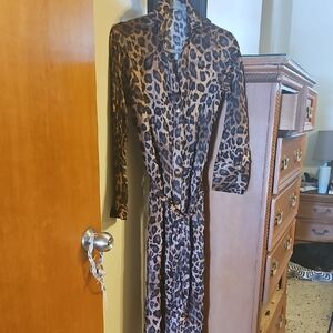 Zara Leopard Print Long Sleeve Dress